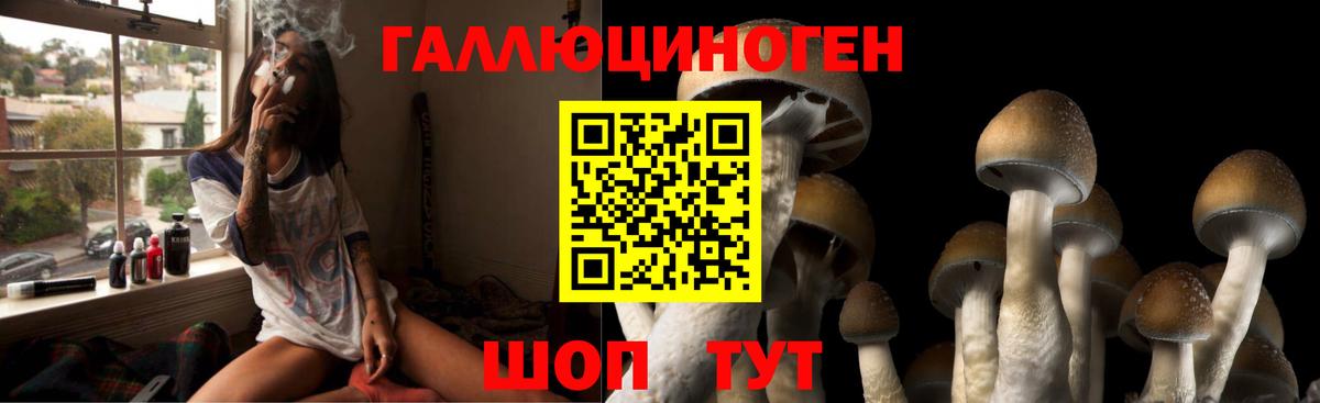 Псилоцибиновые грибы Magic Shrooms Назарово